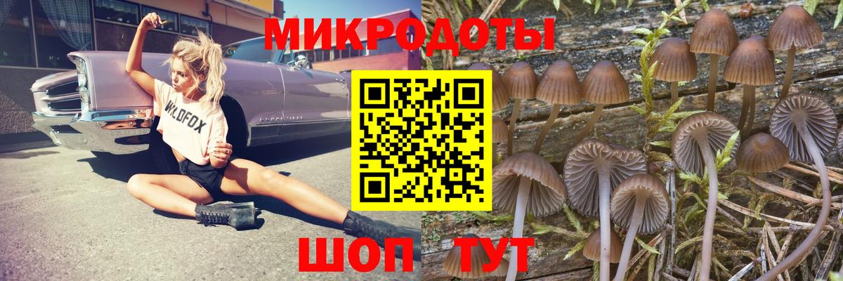 Калуга  Галлюциногенные грибы MAGIC MUSHROOMS  Вход с VPN 
